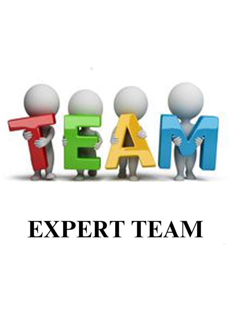 Expert team icon